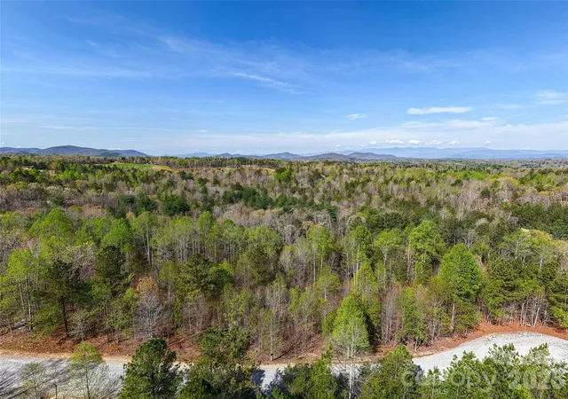 Homes for sale in Nebo, NC | 0 Tayberry Dr, Nebo, NC 28761 | MLS# 4355681