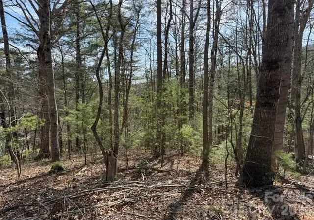 Photo 2 of Land for sale at 2 Frontier Ct, Asheville, NC 28805 | MLS# 4355734 | Listing updated on 2026-03-14