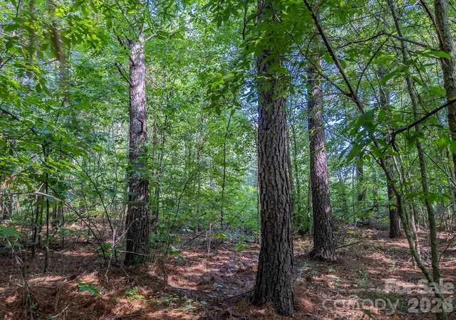 17th image of 4794 Cauble Rd, Mount Pleasant, NC 28124 | MLS# 4355892
