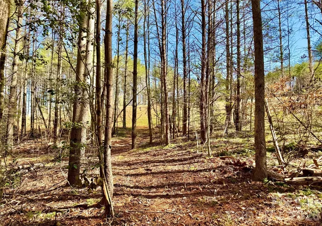 4th image of 6129 Painted Ridge Trl #Lot 739, Lenoir, NC 28645 | MLS# 4355935
