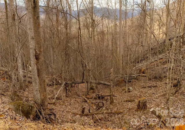 Photo 3 of Land for sale at 000 Elliotts Loop #123 & 124, Bakersville, NC 28705 | MLS# 4355998 | Listing updated on 2026-05-29