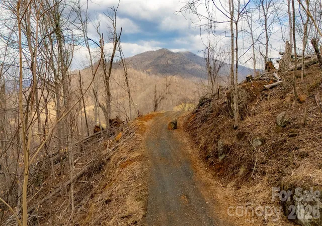 Photo 4 of Land for sale at 000 Elliotts Loop #123 & 124, Bakersville, NC 28705 | MLS# 4355998 | Listing updated on 2026-05-29