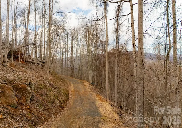 Homes for sale in Bakersville, NC | 000 Elliotts Loop #123 & 124, Bakersville, NC 28705 | MLS# 4355998