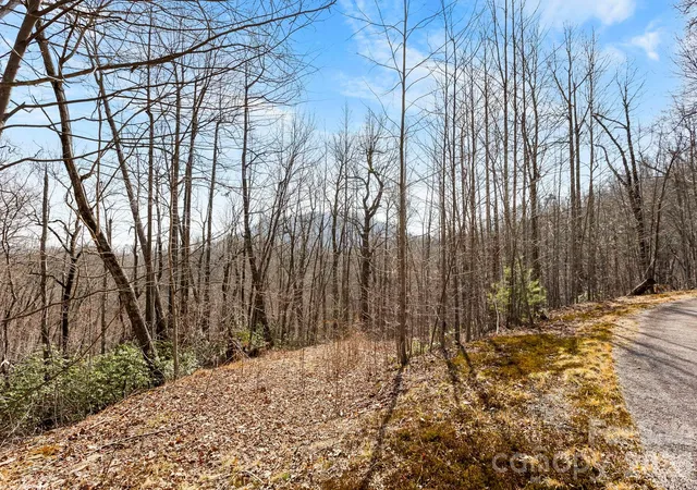 Photo 3 of Land for sale at Lot 5 Laurel Mountain Trl, Black Mountain, NC 28711 | MLS# 4356013 | Listing updated on 2026-07-13