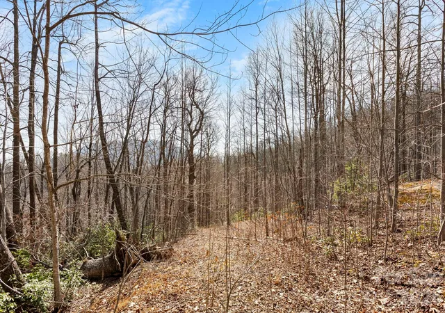 Photo 4 of Land for sale at Lot 5 Laurel Mountain Trl, Black Mountain, NC 28711 | MLS# 4356013 | Listing updated on 2026-07-13