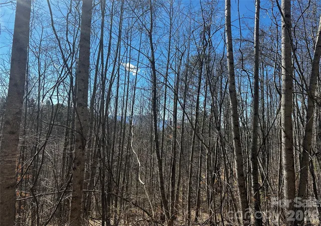 Homes for sale in Bakersville, NC | 00 Grace Ridge Rd, Bakersville, NC 28705 | MLS# 4356494