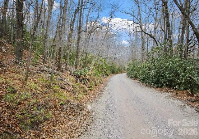 Homes for sale in Burnsville, NC | Lot 12 Patton Thicket Rd, Burnsville, NC 28714 | MLS# 4356523