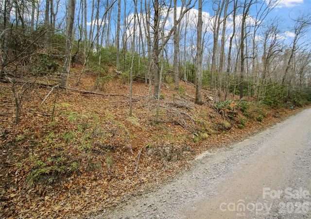 Homes for sale in Burnsville, NC | Lot 12 Patton Thicket Rd, Burnsville, NC 28714 | MLS# 4356523