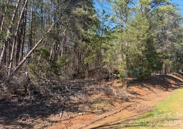 Photo 3 of Land for sale at 1268 Acre 99 Rd, Blair, SC 29015 | MLS# 4356635 | Listing updated on 2026-09-14