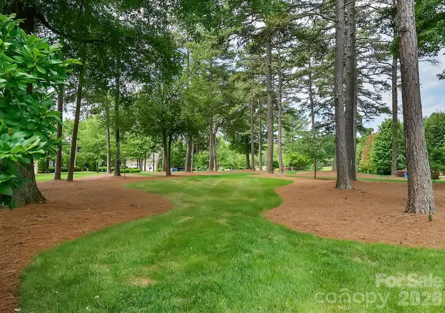 48th image of 4231 Piaffe Ave, Mint Hill, NC 28227 | MLS# 4356872