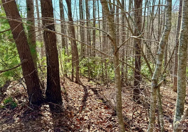 Photo 3 of Land for sale at Lot 42 Round Mountain Pkwy #42, Lenoir, NC 28645 | MLS# 4357054 | Listing updated on 2026-06-15