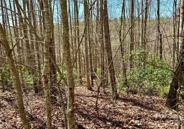 Photo 3 of Land for sale at Lot 42 Round Mountain Pkwy #42, Lenoir, NC 28645 | MLS# 4357054 | Listing updated on 2026-06-15