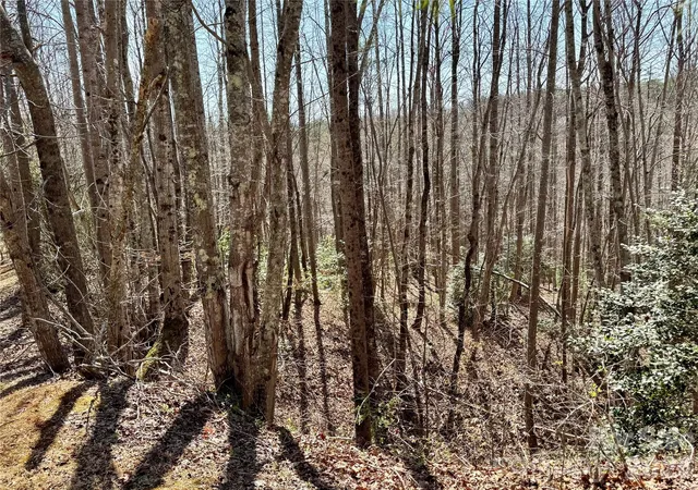 Photo 4 of Land for sale at Lot 42 Round Mountain Pkwy #42, Lenoir, NC 28645 | MLS# 4357054 | Listing updated on 2026-06-15