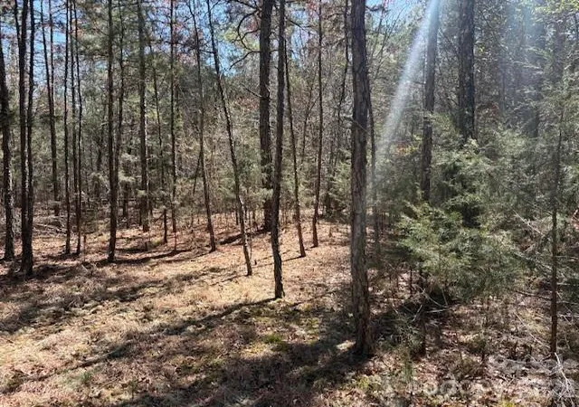 1st image of 7350 Paul Linker Pl, Harrisburg, NC 28075 | MLS# 4357142