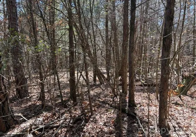 2nd image of 7350 Paul Linker Pl, Harrisburg, NC 28075 | MLS# 4357142