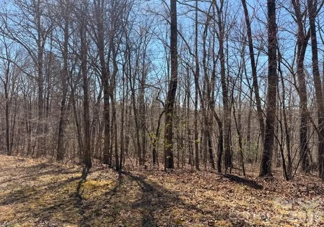 Photo 3 of Land for sale at 659 Bent Crk Dr #35, Nebo, NC 28761 | MLS# 4357418 | Listing updated on 2026-04-02