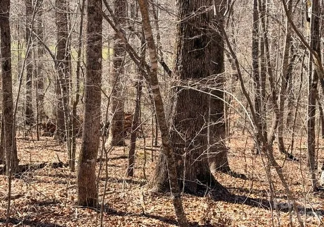 Photo 3 of Land for sale at 659 Bent Crk Dr #35, Nebo, NC 28761 | MLS# 4357418 | Listing updated on 2026-04-02