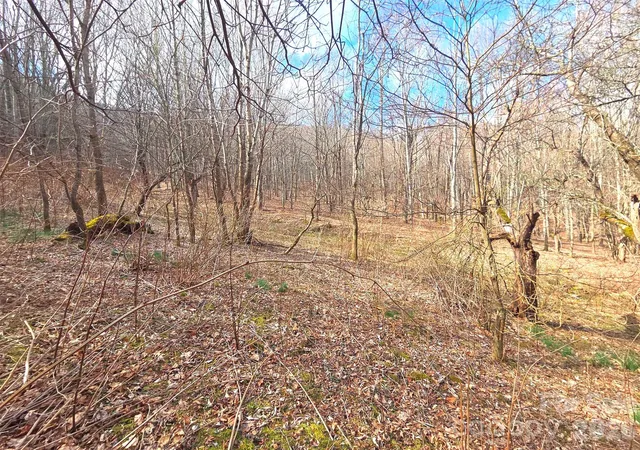 2nd image of 250 Rome Beauty Rd #TR5, Waynesville, NC 28785 | MLS# 4357447
