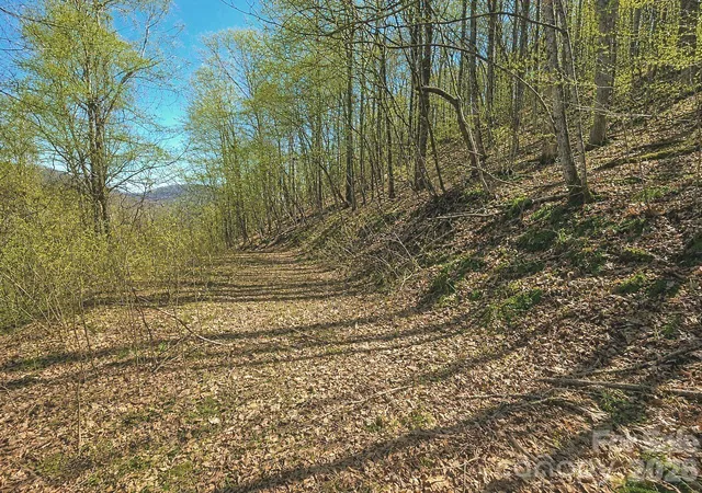 Land for sale at 1200 Chestnut Flats Ln #138, Waynesville, NC 28786 | MLS# 4357466