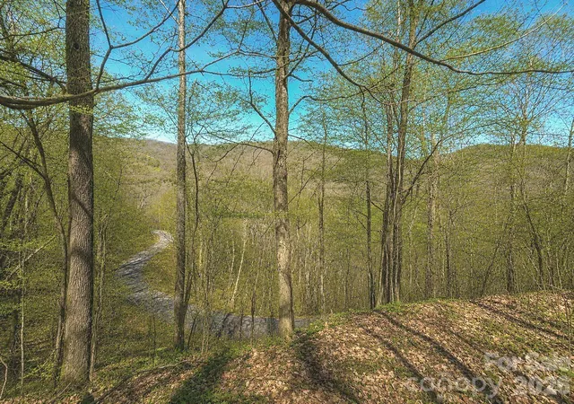 Photo 2 of Land for sale at 1200 Chestnut Flats Ln #138, Waynesville, NC 28786 | MLS# 4357466 | Listing updated on 2026-09-19