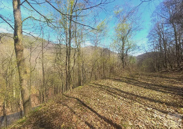 Photo 3 of Land for sale at 1200 Chestnut Flats Ln #138, Waynesville, NC 28786 | MLS# 4357466 | Listing updated on 2026-09-19