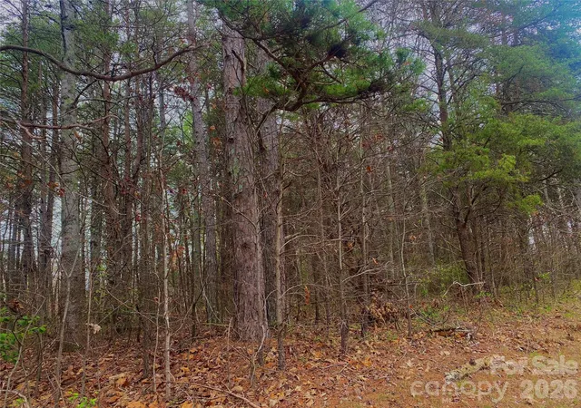Photo 2 of Single family home for sale at 302 Lewis Fry Rd, Statesville, NC 28677 | MLS# 4357890 | Listing updated on 2026-06-24
