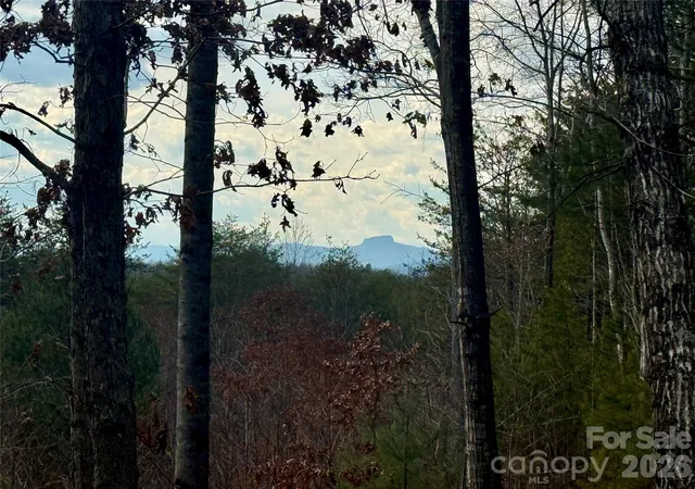 Photo 2 of Land for sale at 913 High Valley Way #913, Lenoir, NC 28645 | MLS# 4357948 | Listing updated on 2026-04-15