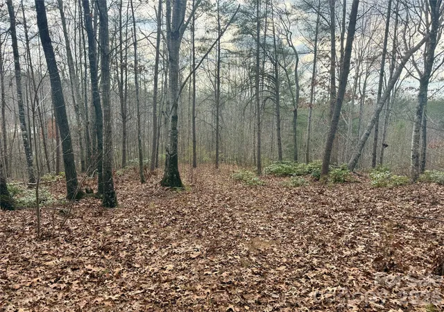 Photo 4 of Land for sale at 913 High Valley Way #913, Lenoir, NC 28645 | MLS# 4357948 | Listing updated on 2026-04-15