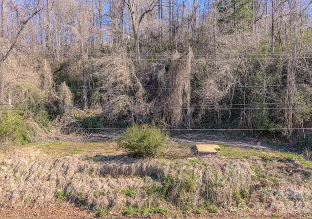 3rd image of 16 Governors View Rd, Asheville, NC 28805 | MLS# 4358188