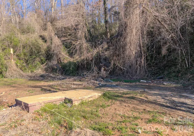 2nd image of 16 Governors View Rd, Asheville, NC 28805 | MLS# 4358188