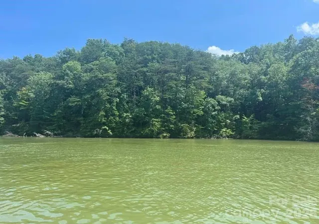 1st image of 00 Canoe Dr #44, Mill Spring, NC 28756 | MLS# 4358465