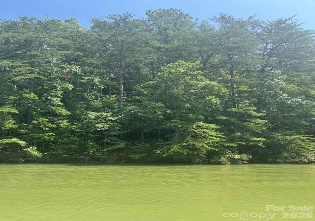 2nd image of 00 Canoe Dr #44, Mill Spring, NC 28756 | MLS# 4358465