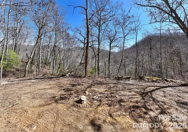 2nd image of 99999 Green Ridge Falls Rd #17, Barnardsville, NC 28709 | MLS# 4358939