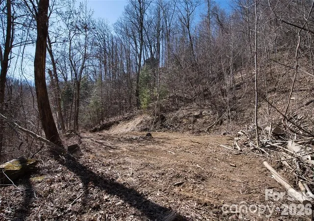 Photo 3 of Land for sale at 99999 Green Ridge Fls Rd #17, Barnardsville, NC 28709 | MLS# 4358939 | Listing updated on 2026-09-25