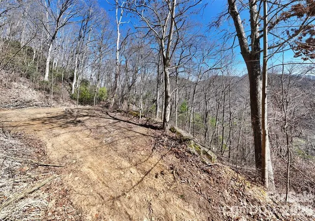 Photo 3 of Land for sale at 99999 Green Ridge Fls Rd #17, Barnardsville, NC 28709 | MLS# 4358939 | Listing updated on 2026-09-25