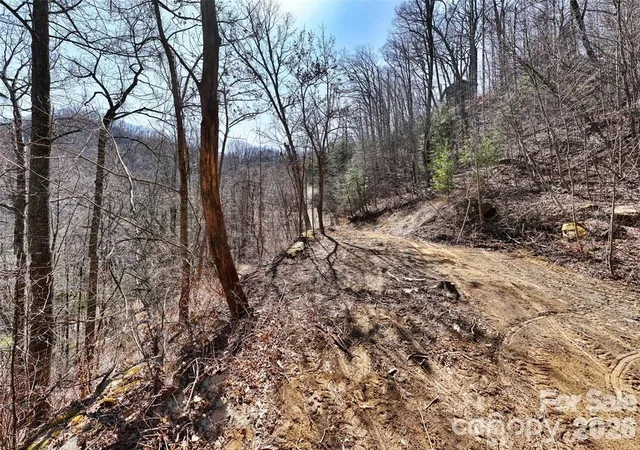 Photo 4 of Land for sale at 99999 Green Ridge Fls Rd #17, Barnardsville, NC 28709 | MLS# 4358939 | Listing updated on 2026-09-25