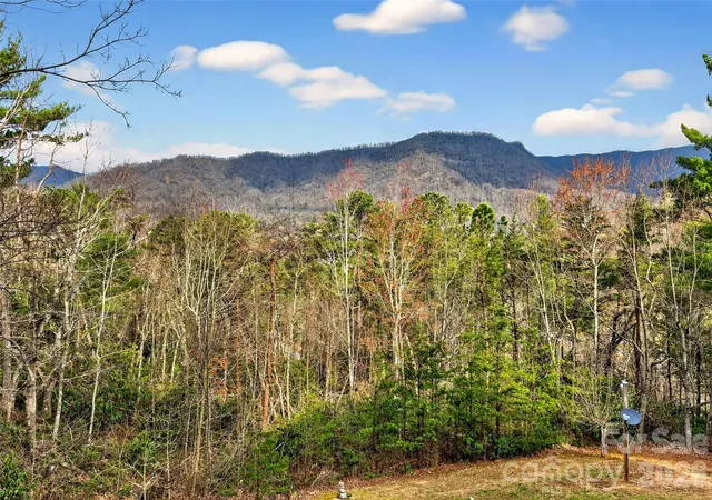 Homes for sale in Marion, NC | 182 Baby Fox Dr, Marion, NC 28752 | MLS# 4359014