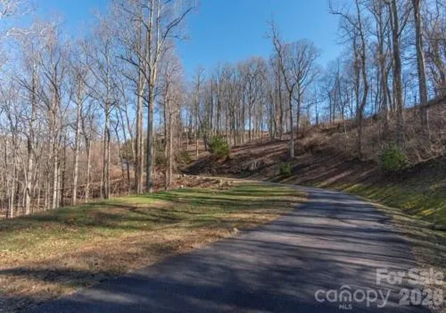 Photo 2 of Land for sale at 96 Castanea Mountain Dr, Asheville, NC 28803 | MLS# 4359174 | Listing updated on 2026-06-02