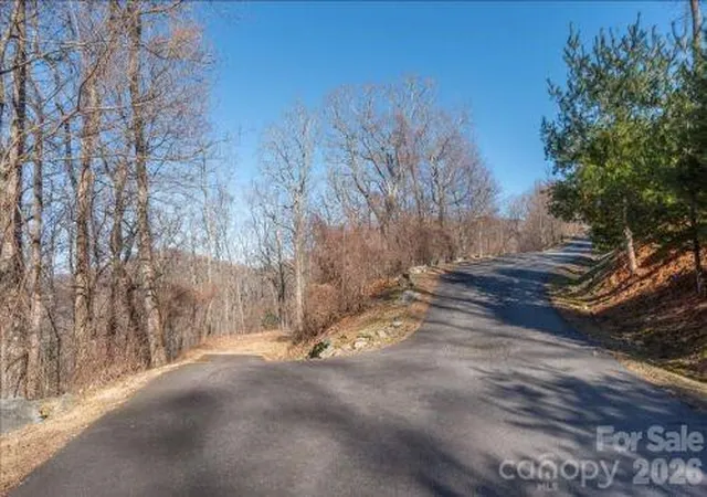Photo 3 of Land for sale at 96 Castanea Mountain Dr, Asheville, NC 28803 | MLS# 4359174 | Listing updated on 2026-06-02