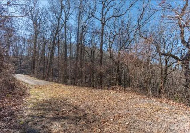 Photo 3 of Land for sale at 96 Castanea Mountain Dr, Asheville, NC 28803 | MLS# 4359174 | Listing updated on 2026-06-02