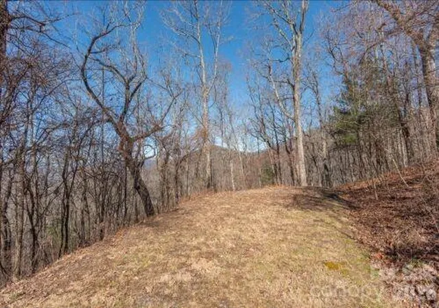 Photo 4 of Land for sale at 96 Castanea Mountain Dr, Asheville, NC 28803 | MLS# 4359174 | Listing updated on 2026-06-02