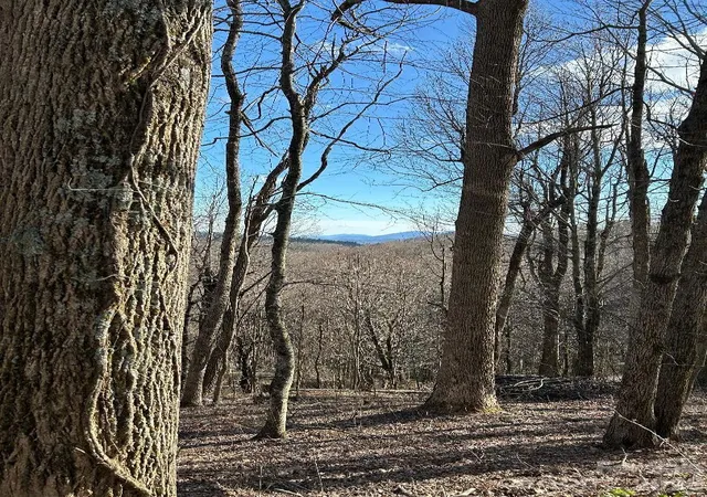 Homes for sale in Little Switzerland, NC | Lot 32 Strawberry Ridge Rd, Little Switzerland, NC 28749 | MLS# 4359186