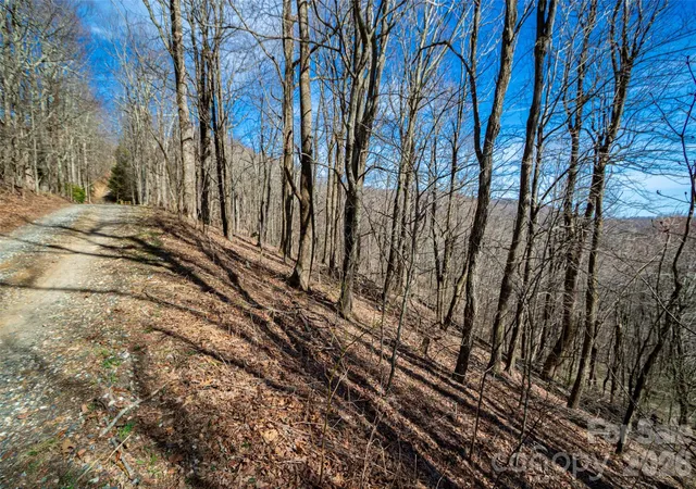 Photo 4 of Land for sale at Lot 32 Strawberry Ridge Rd, Spruce Pine, NC 28777 | MLS# 4359186 | Listing updated on 2026-03-31