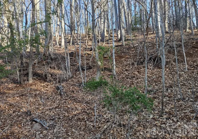 Photo 3 of Land for sale at 99999 Cedar Dr #273, Mills River, NC 28759 | MLS# 4359508 | Listing updated on 2026-09-24