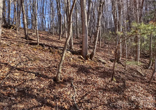 Photo 3 of Land for sale at 99999 Cedar Dr #273, Mills River, NC 28759 | MLS# 4359508 | Listing updated on 2026-09-24