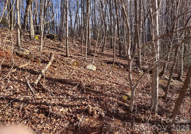 Photo 4 of Land for sale at 99999 Cedar Dr #273, Mills River, NC 28759 | MLS# 4359508 | Listing updated on 2026-09-24
