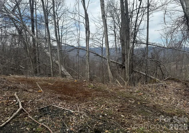 Homes for sale in Bakersville, NC | 00 Bear Ridge Rd, Bakersville, NC 28705 | MLS# 4359683