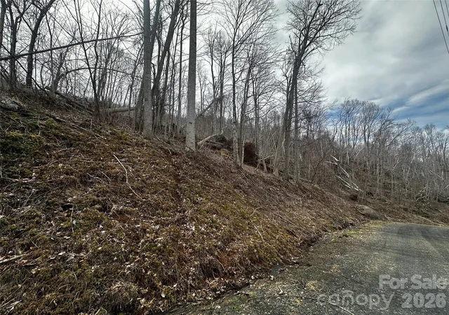 Homes for sale in Bakersville, NC | 00 Bear Ridge Rd, Bakersville, NC 28705 | MLS# 4359683