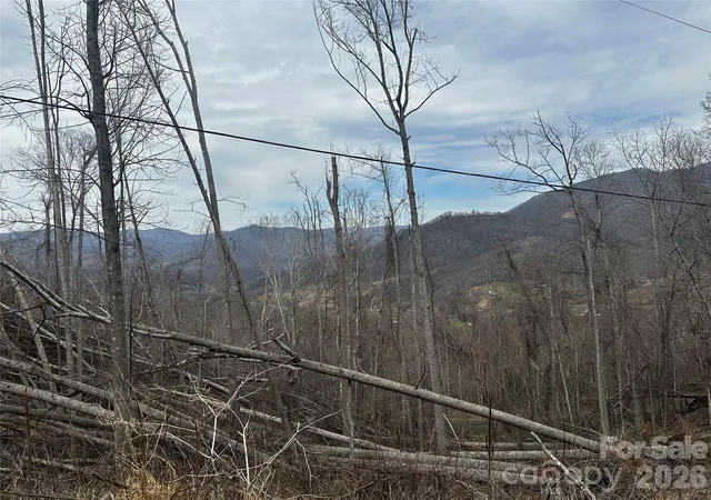 Photo 4 of Land for sale at 00 Bear Ridge Rd, Bakersville, NC 28705 | MLS# 4359683 | Listing updated on 2026-03-20
