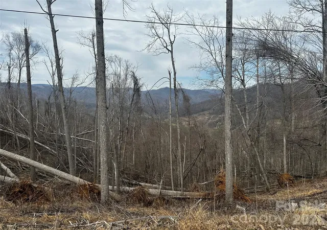 Photo 5 of Land for sale at 00 Bear Ridge Rd, Bakersville, NC 28705 | MLS# 4359683 | Listing updated on 2026-03-20
